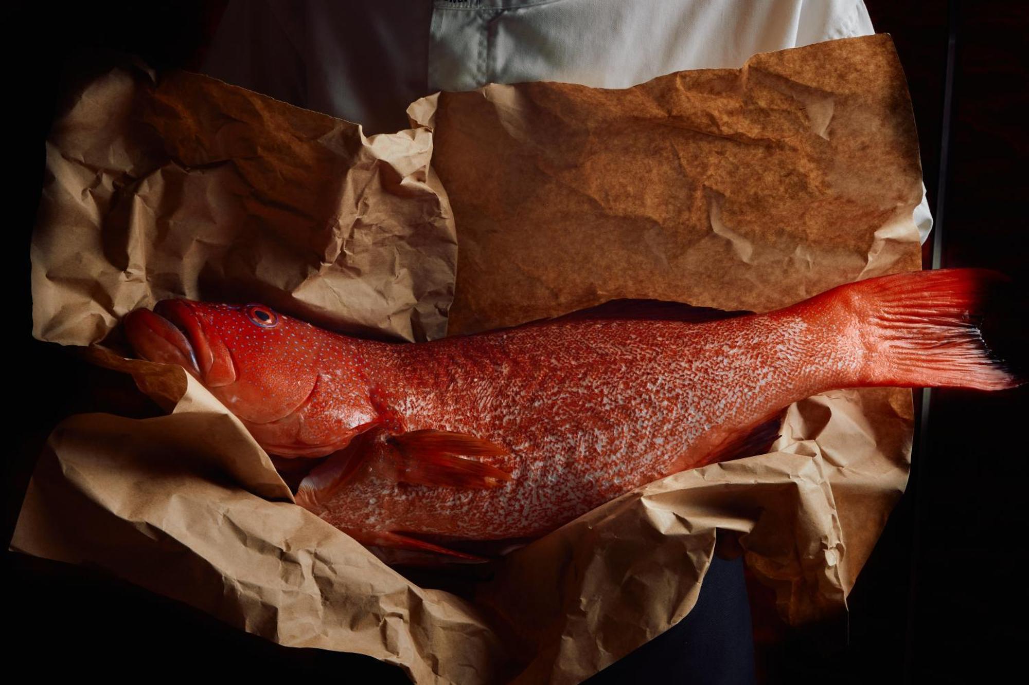 Park Hyatt Melbourne Hotel Екстериор снимка A smoked turbot